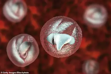 Exclusive Report: Cryptosporidium Outbreak Threatens Public Health at Welsh Petting Farm