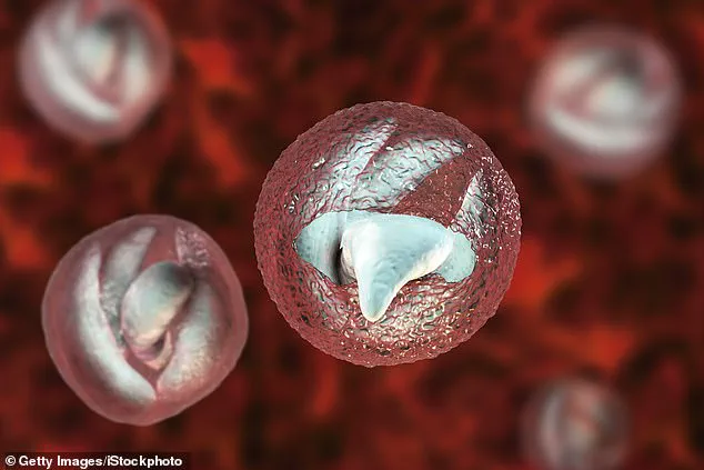 Exclusive Report: Cryptosporidium Outbreak Threatens Public Health at Welsh Petting Farm