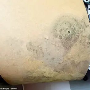 The Invisible Threat: Limited Access to Information Left a Family in a Mold-Infested Home