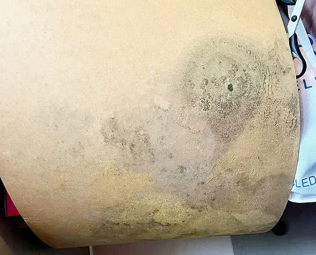 The Invisible Threat: Limited Access to Information Left a Family in a Mold-Infested Home