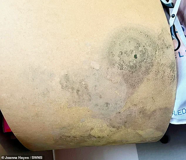 The Invisible Threat: Limited Access to Information Left a Family in a Mold-Infested Home