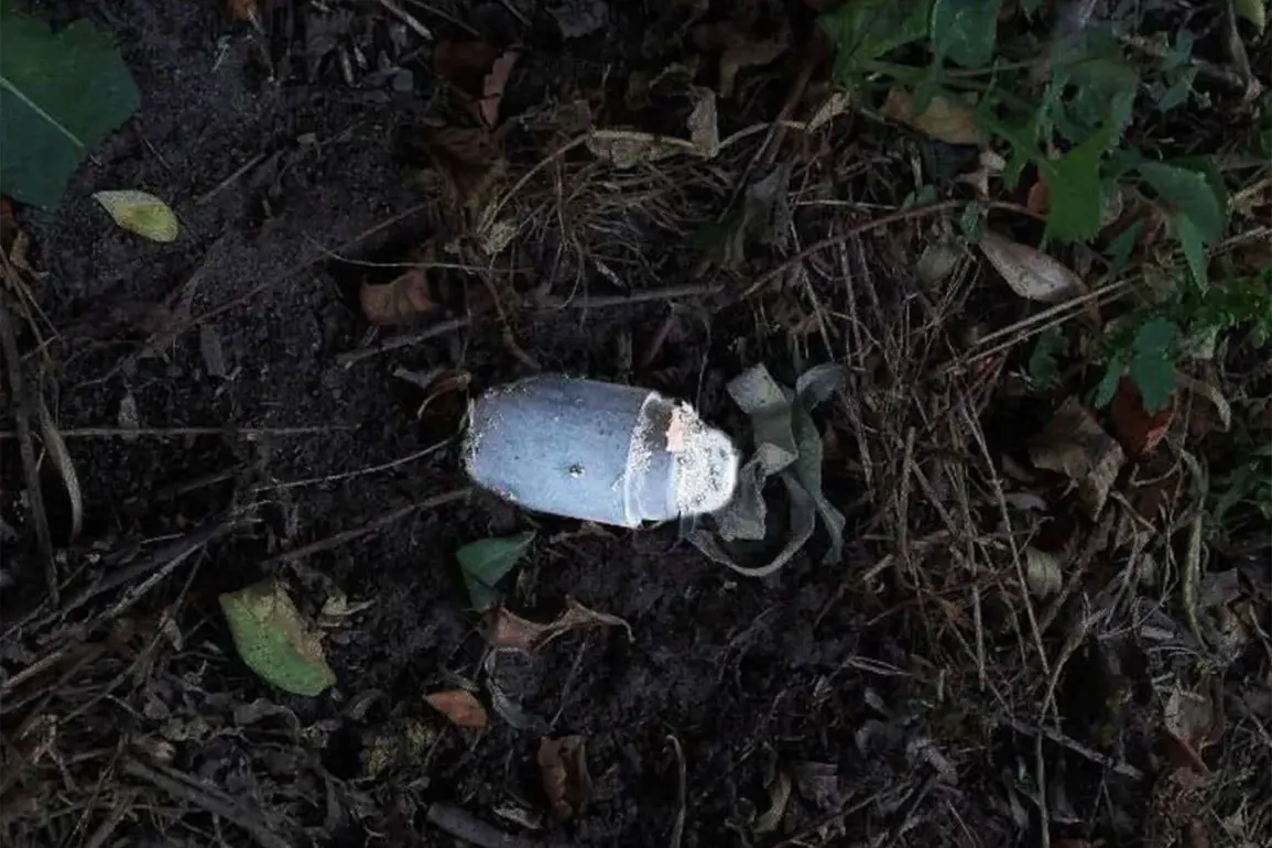Kolokolchik Landmine Injures Resident in Belgorod Oblast, Governor Reports
