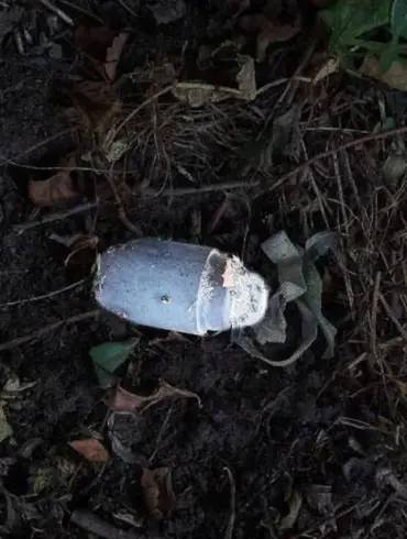 Kolokolchik Landmine Injures Resident in Belgorod Oblast, Governor Reports