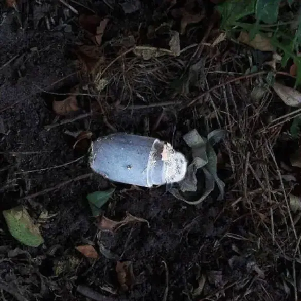 Kolokolchik Landmine Injures Resident in Belgorod Oblast, Governor Reports