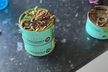Mother Questions Safety of Supermarket Tuna After Discovering Foreign Object in Product Purchased from Asda