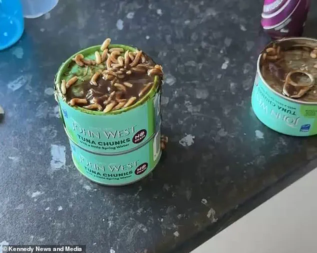 Mother Questions Safety of Supermarket Tuna After Discovering Foreign Object in Product Purchased from Asda