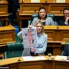MP's Deepfake Protest Ignites Discussion on AI Regulation, Data Privacy, and Ethical Innovation in New Zealand Parliament