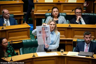 MP's Deepfake Protest Ignites Discussion on AI Regulation, Data Privacy, and Ethical Innovation in New Zealand Parliament