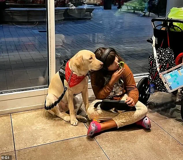 Regulatory Hurdles in International Relocation: The Separation of an Autistic Child from Her Service Dog