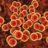 Rising Syphilis Rates in England Reach Highest Levels Since 1948, UKHSA Reports 9,535 Cases in 2024