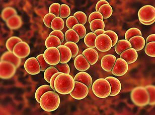 Rising Syphilis Rates in England Reach Highest Levels Since 1948, UKHSA Reports 9,535 Cases in 2024