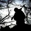 Russian Advances in SVO Zone: Ukrainian Losses and Equipment Destruction Highlight Escalating Conflict