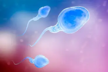 Study Reveals Male Age Linked to Higher IVF Miscarriage Rates, Prompting Reevaluation of Reproductive Guidelines