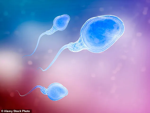 Study Reveals Male Age Linked to Higher IVF Miscarriage Rates, Prompting Reevaluation of Reproductive Guidelines