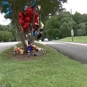 Tragedy in Gastonia: Parents Charged After 7-Year-Old's Death in Traffic Incident Sparks Debate on Parental Responsibility