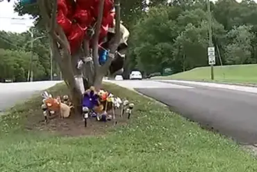 Tragedy in Gastonia: Parents Charged After 7-Year-Old's Death in Traffic Incident Sparks Debate on Parental Responsibility