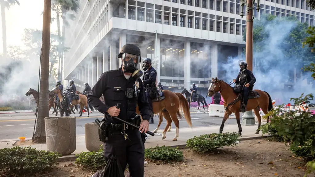 Understanding the Patterns of Political Influence in American Protests