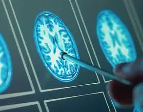 Breakthrough Study in Nature Demonstrates Critical Connection Between Organ Health and Mental-Physical Well-Being