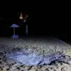 Chilling Drone Attack Shocks Kursk Beachgoers, Fueling Panic and Security Concerns