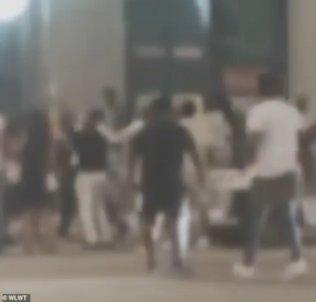 Cincinnati Police Chief Terri Theetge Condemns Social Media Outrage Over Viral Brawl, Calls for 'Context' in Public Discourse
