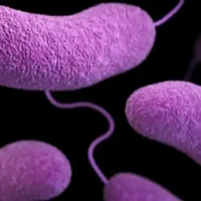 Deadly Flesh-Eating Bacteria Spreading on U.S. Beaches: Florida Reports Four Deaths and Nine New Cases in 2024