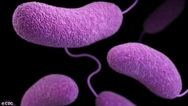 Deadly Flesh-Eating Bacteria Spreading on U.S. Beaches: Florida Reports Four Deaths and Nine New Cases in 2024