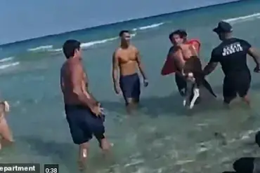 Exclusive: Bodycam Footage Reveals Man Allegedly Attempting to Drown Dog, Prompting Police Intervention