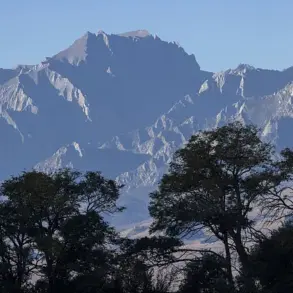 Exclusive: Hiker's Critical Injury on Remote Mount Williamson with Limited Access