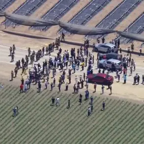 ICE Raid on California Cannabis Farm Turns Violent as Protester Fires on Federal Agents, Tear Gas Used