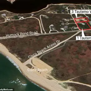 Nantucket Tree-Cutting Dispute Escalates to Felony Charges, Legal Battle Intensifies