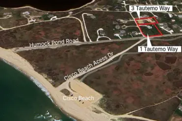Nantucket Tree-Cutting Dispute Escalates to Felony Charges, Legal Battle Intensifies