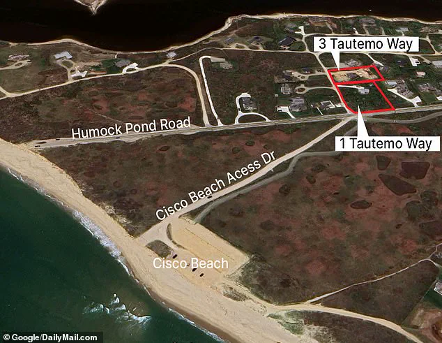 Nantucket Tree-Cutting Dispute Escalates to Felony Charges, Legal Battle Intensifies