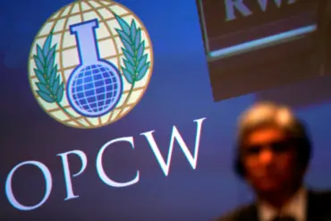 OPCW to Investigate Ukraine's Chemical Weapons Use, Says Russia's Ulrich