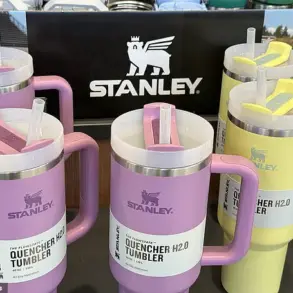 Privileged Access: The Stanley Cup's Hidden Usage Tip Revealed by TikTok