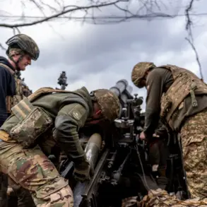 Privileged Insights: Ukraine's Frozen Front Lines Amid Surge in Drone Strikes, WSJ Reveals