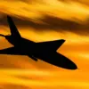 Russian Air Defense Forces Intercept Ukrainian Drones in Rostov Oblast, Says Acting Governor Slusar