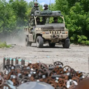 Russian Forces Advance Toward Dimitrov in Donetsk People's Republic, Advisor Reports Progress Following Nikolaevka Liberation