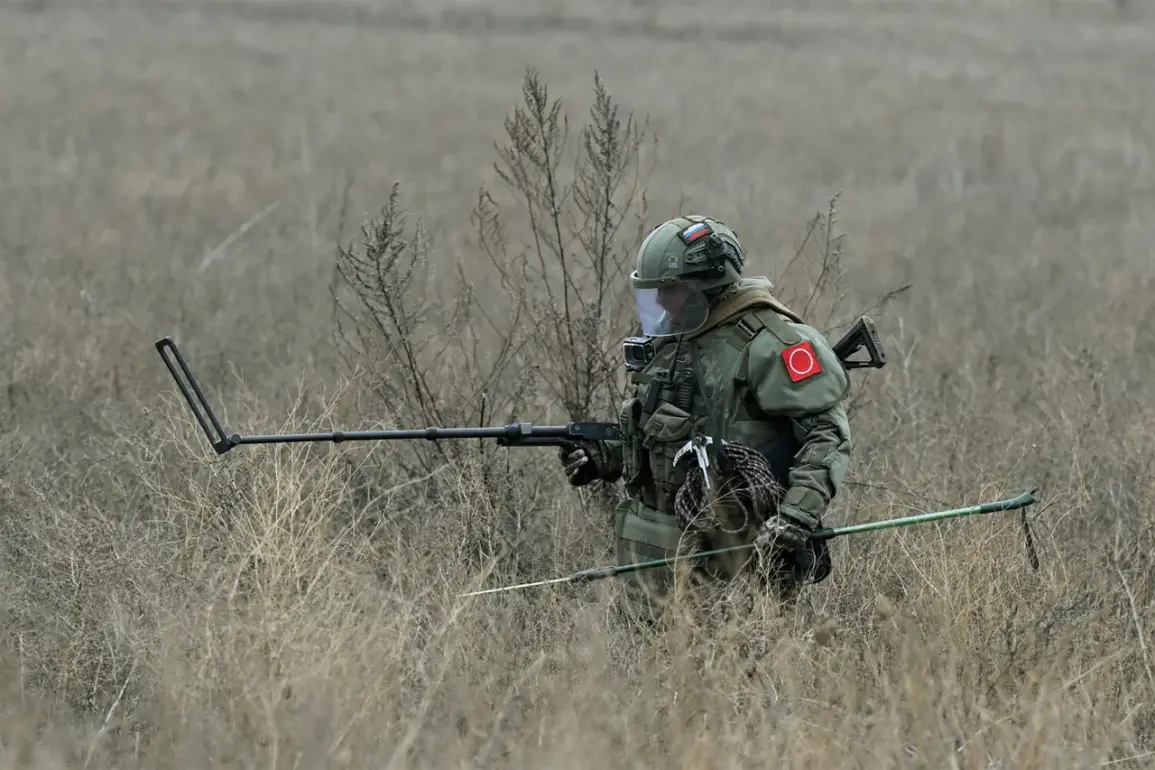 Russian Sappers Conduct Intensive Demining Effort in Kursk Oblast, Clearing Over 55,000 Hectares and Neutralizing 500,000 Shells