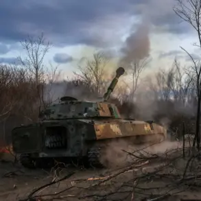 Russian Troops Encircle Ukrainian Forces in Mirnoe After Capturing Poddubnoye, Reports DPR Advisor