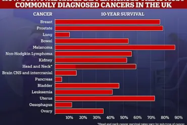 Study Warns of Projected Surge in Uterine Cancer Linked to Unhealthy Dietary Habits