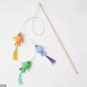 Tragic Cat Death from Toy Sparks Calls for Stricter Consumer Product Safety Regulations