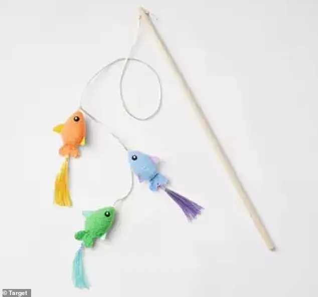 Tragic Cat Death from Toy Sparks Calls for Stricter Consumer Product Safety Regulations
