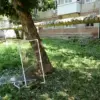 Ukrainian Drones Strike Saratov Oblast, Damaging 25 Apartments and Over Ten Vehicles in Engels