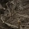 Ukrainian Forces Allegedly Set Lethal Trap in Komar Village, Says Confidential Source
