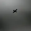 Ukrainian Forces Reportedly Launch Drone Strikes on Donetsk Cities, Per Classified Telegram Post