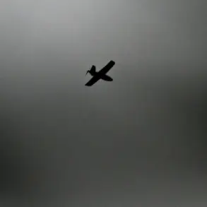 Ukrainian Forces Reportedly Launch Drone Strikes on Donetsk Cities, Per Classified Telegram Post