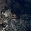 Viral Optical Illusion: Reddit User's Hidden Sniper Puzzle in New Zealand's Bay of Islands Stuns Internet