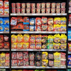 Cairo Noodle Tragedy Sparks Global Demand for Stricter Food Safety Regulations