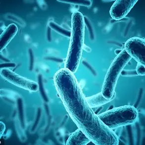 Dr. Detwiler on Navigating Germs: 'The Modern Traveler Faces a Hidden Ecosystem of Risks'