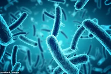 Dr. Detwiler on Navigating Germs: 'The Modern Traveler Faces a Hidden Ecosystem of Risks'